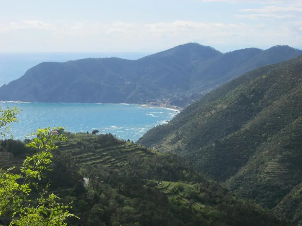 Mare e Dintorni CITRO11015-AFF-0200 Hotel La Spezia Affittacamere